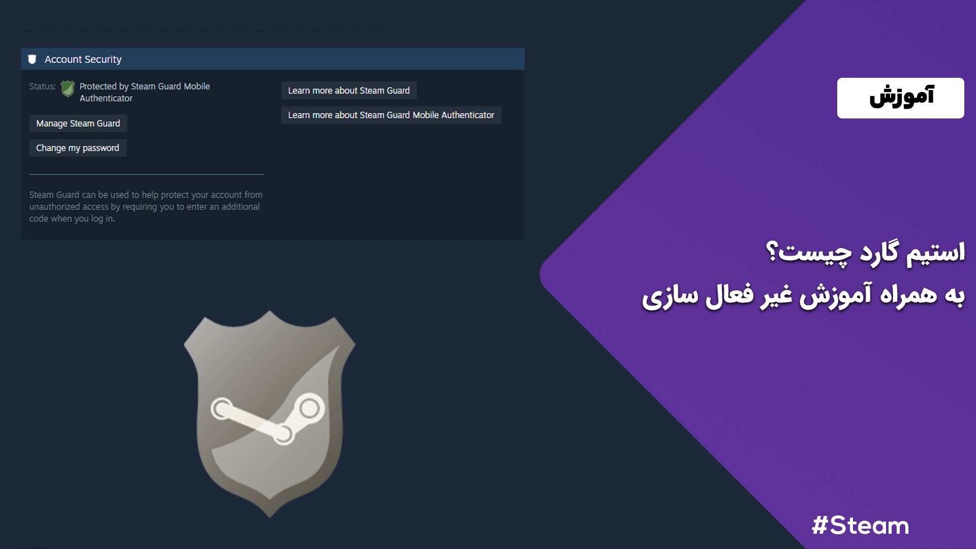 استیم گارد چیست؟[+آموزش غیر فعال سازی برای تحویل سفارشات] - آرِس گیم